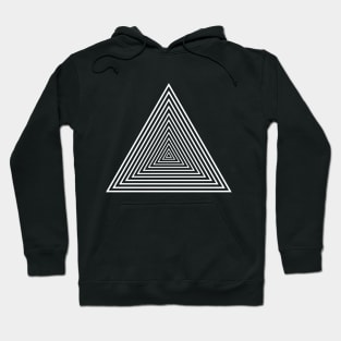 Anteater pyramid Hoodie